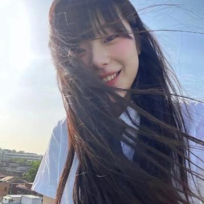羊与钢之森